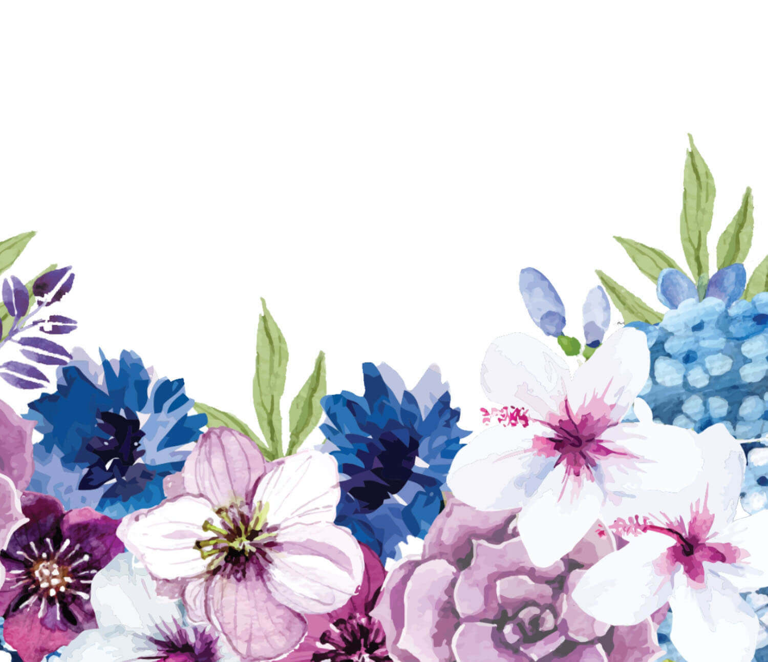 Colorful flowers illustration